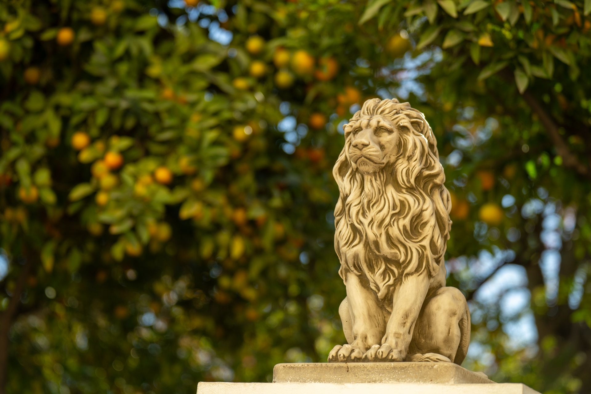 Jardines de Alfonso Canales: oasis que conecta el Soho-/uploads/479f5185_209d_4945_a723_d68c4dfee0d9_3f73c53036.jpg